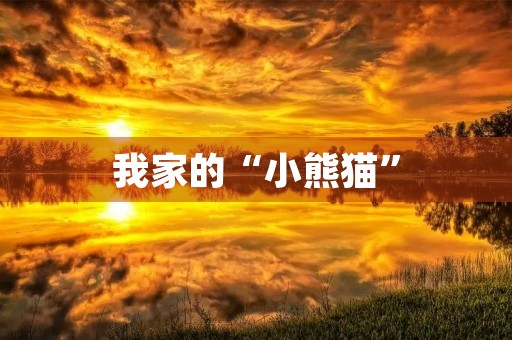 我家的“小熊猫”