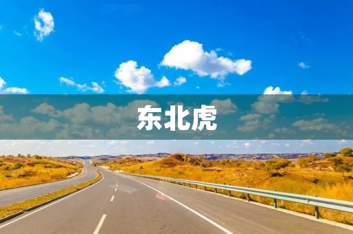 东北虎 东北虎