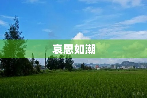 哀思如潮
