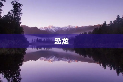恐龙 恐龙