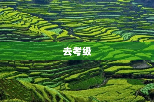去考级 去考级