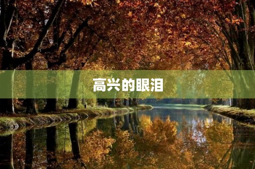 高兴的眼泪 高兴的眼泪