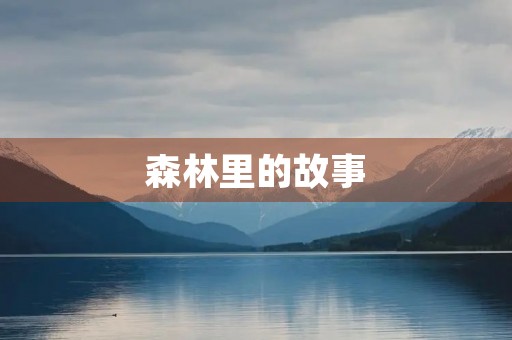 森林里的故事 森林里的故事