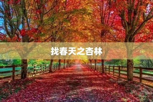 找春天之杏林 找春天之杏林