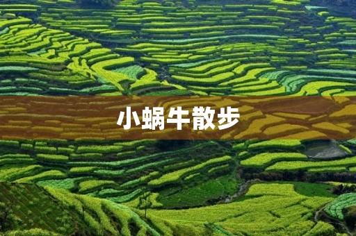 小蜗牛散步 小蜗牛散步