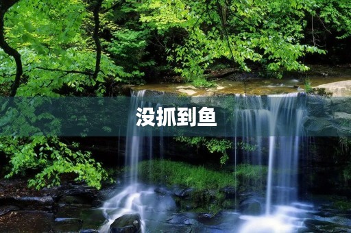没抓到鱼 没抓到鱼