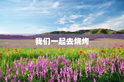 我们一起去烧烤 我们一起去烧烤