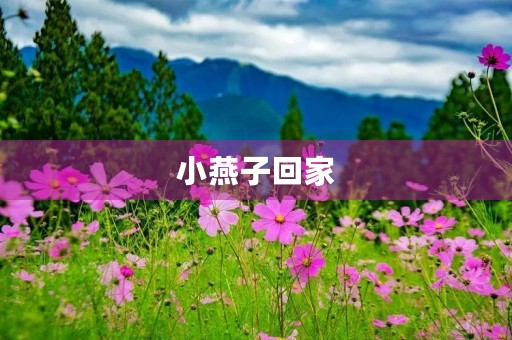 小燕子回家 小燕子回家