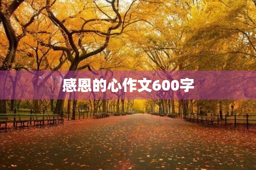 感恩的心作文600字