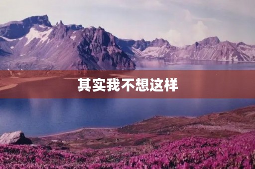 其实我不想这样 其实我不想这样