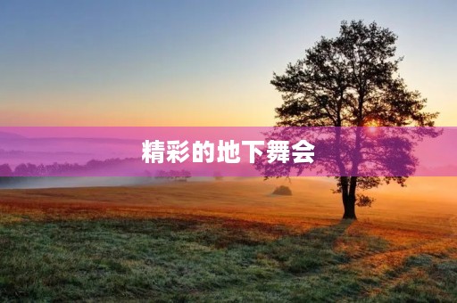 精彩的地下舞会