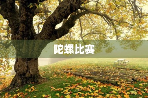陀螺比赛 陀螺比赛