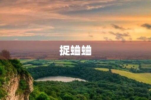 捉蛐蛐 捉蛐蛐