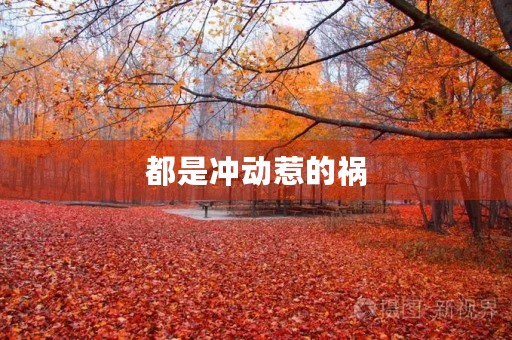 都是冲动惹的祸 都是冲动惹的祸