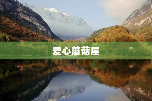 爱心蘑菇屋 爱心蘑菇屋