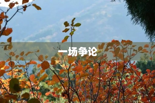 一场争论 一场争论