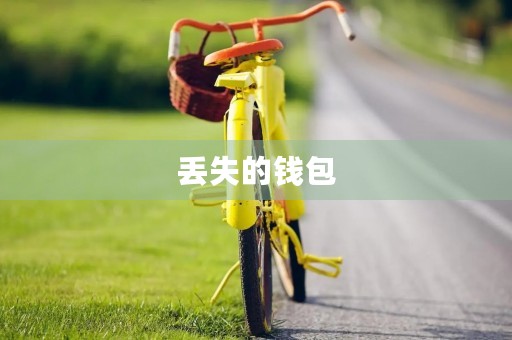 丢失的钱包 丢失的钱包
