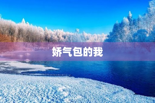 娇气包的我 娇气包的我