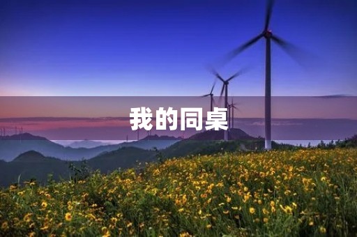 我的同桌 我的同桌