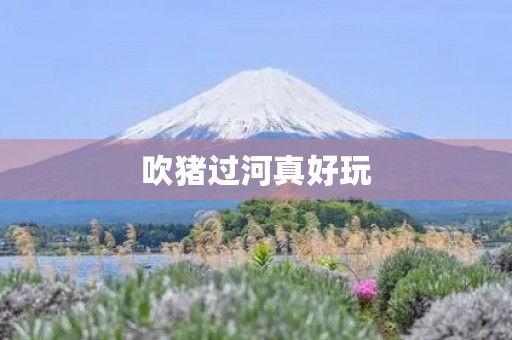 吹猪过河真好玩 吹猪过河真好玩