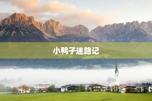 小鸭子迷路记 小鸭子迷路记