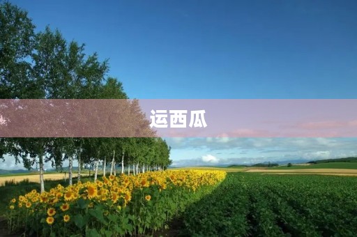 运西瓜 运西瓜