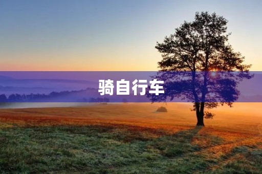 骑自行车