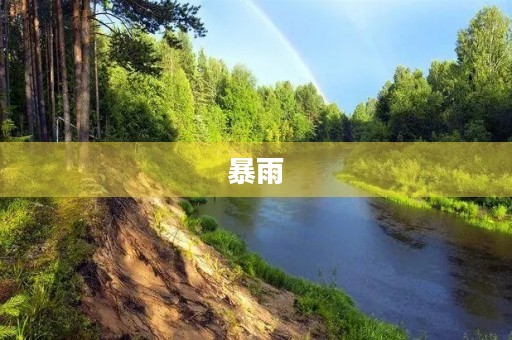 暴雨 暴雨