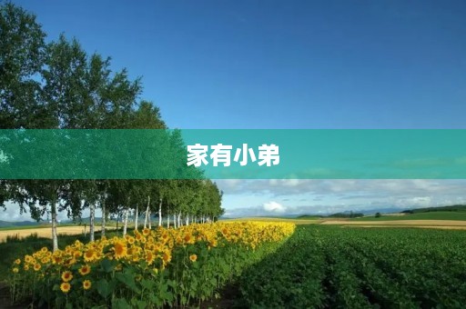 家有小弟 家有小弟