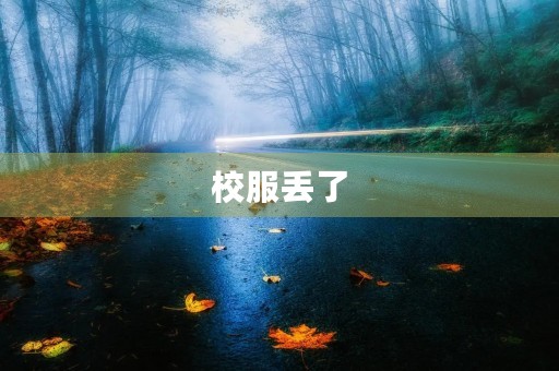 校服丢了 校服丢了