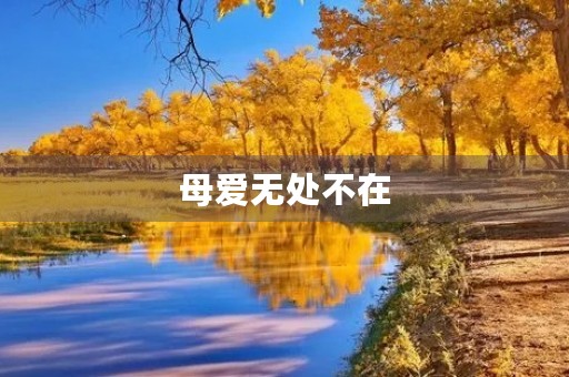 母爱无处不在 母爱无处不在