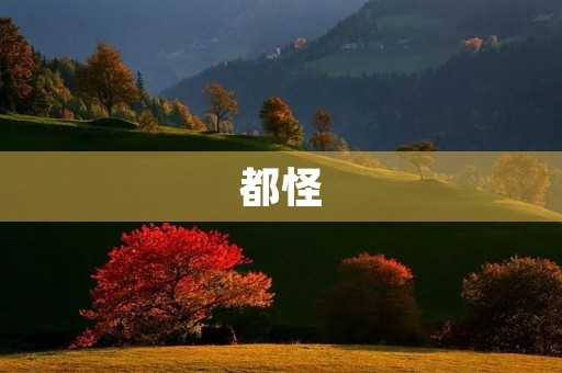 都怪 都怪