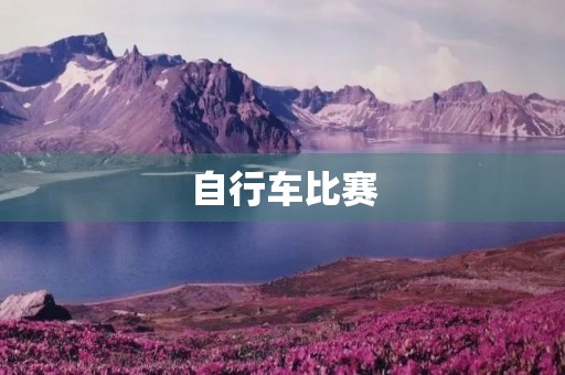 自行车比赛