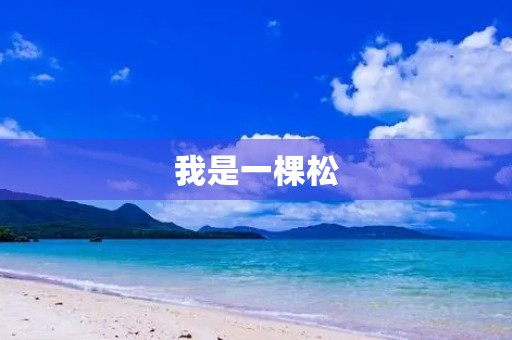 我是一棵松 我是一棵松
