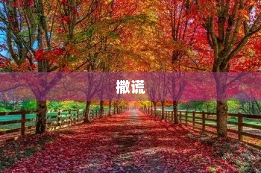 撒谎
