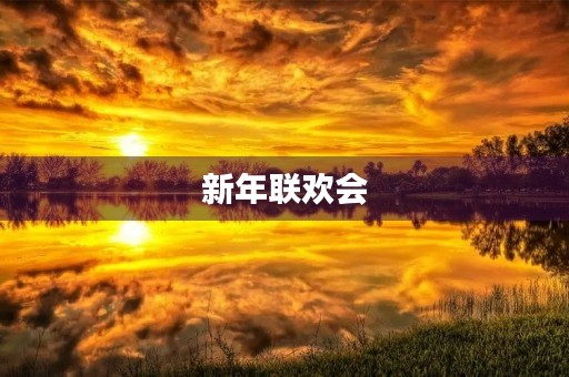 新年联欢会 新年联欢会