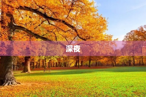 深夜 深夜