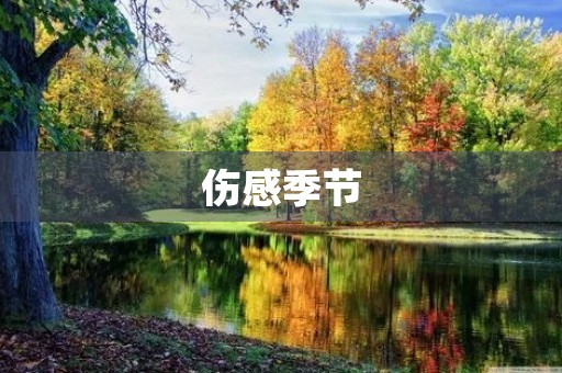 伤感季节