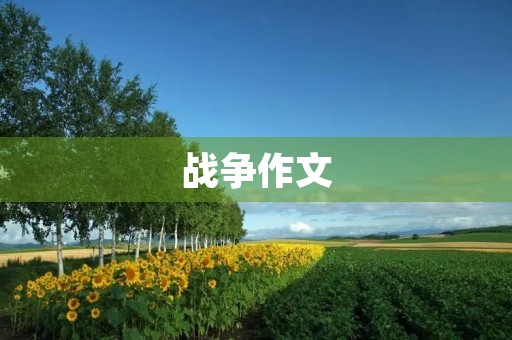 战争作文