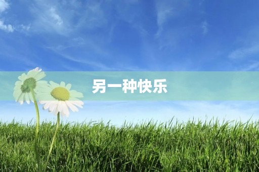 另一种快乐 另一种快乐