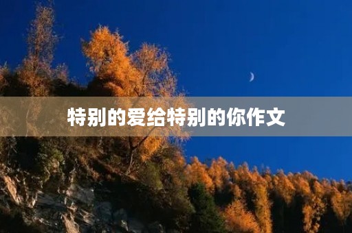 特别的爱给特别的你作文
