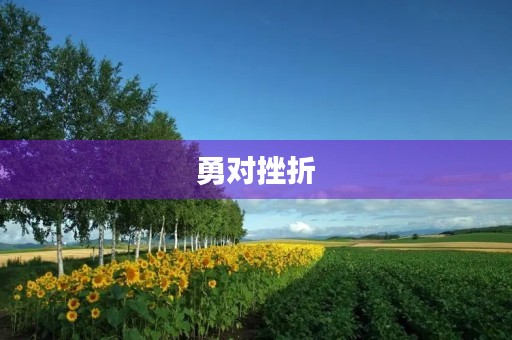 勇对挫折
