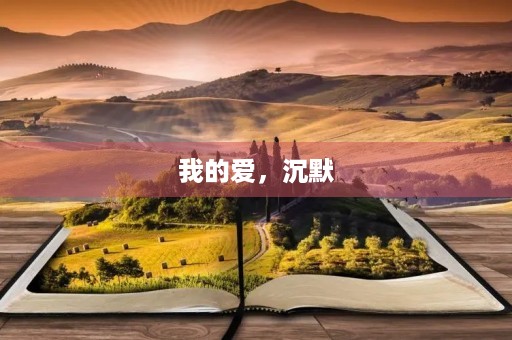 我的爱,沉默 我的爱,沉默