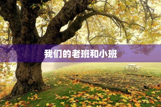 我们的老班和小班