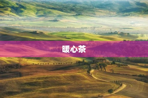 暖心茶 暖心茶