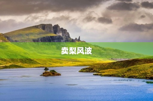 卖梨风波 卖梨风波