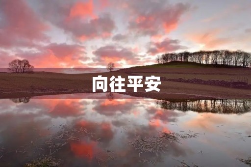 向往平安