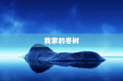 我家的枣树 我家的枣树