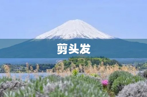 剪头发