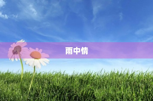雨中情 雨中情